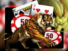 Dragon Tiger icon